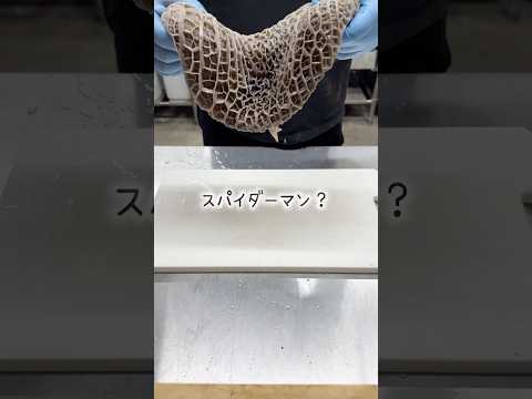 ホルモン食うならココ!何とも言えない食感!ハチノス刺し!!#shorts #japanesefood