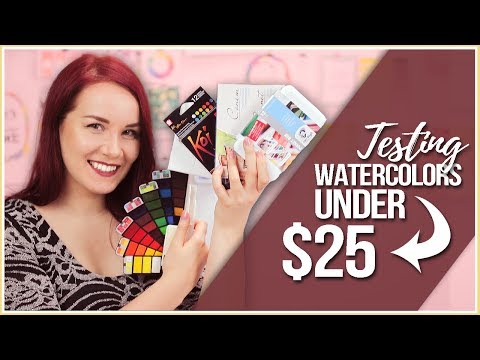 Testing Watercolor Sets under $25! Winsor & Newton, van Gogh, Sakura Koi, Sonnet & Foldable Set