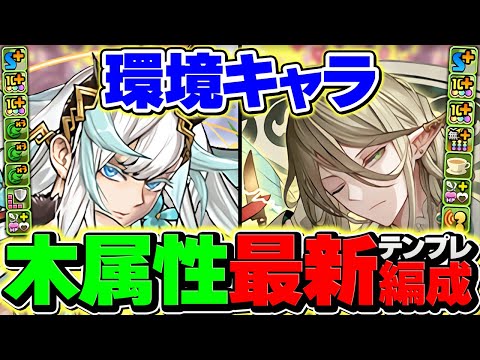 【常時HP1300万】執事アルバートが超絶耐久で負けない！木属性最強リーダー確定！木星攻略！【パズドラ】