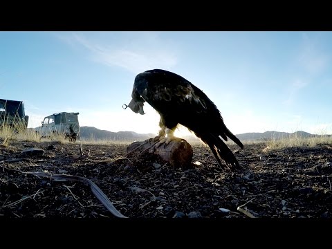 GoPro: Eagle Hunters in a New World Trailer - UCqhnX4jA0A5paNd1v-zEysw