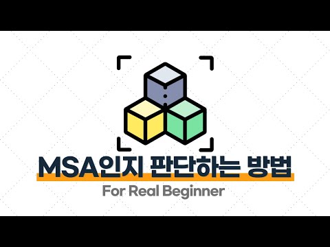 MSA 입문·실전 - 1.6. MSA인지 아닌지를 판단하는 기준은?