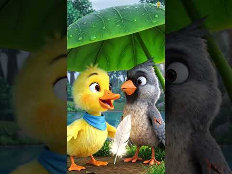 Chiếc Lông Nhỏ Tặng Bạn  #littleduck #cartoon #cutepet #shortvideo