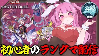 【遊戯王マスターデュエル】初心者のランクマ配信！マリス、頑張りマリス【羽竜メイ/Vtuber】