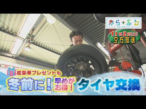 【番宣】１１月２日（土）からふる