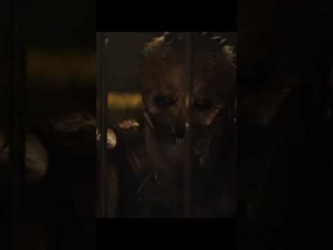 Dek loses his brother Spoilers Predator Badlands #predator #gaming #predatorhuntinggrounds