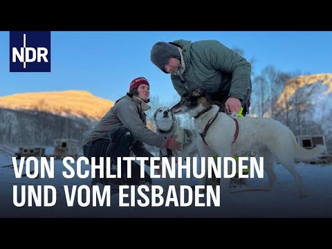 Winter in Norwegen - Glücklich durch die dunkle Jahreszeit  | Nordseereport | NDR Doku