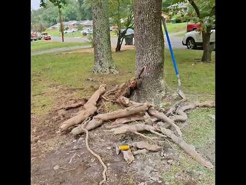 Friday! #concrete #cement #bluecollar #diy #fyp #summer #diy #shorts #friday