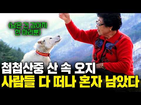 사람들 다 떠나고 혼자 빈 집에 남은 할머니의 말동무가 되어준 강아지와의 감동적인 이야기 [우문현답] | KBS 160127