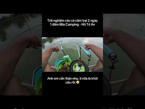 Trải nghiệm câu cá cắm trại 2 ngày 1 đêm Mia Camping-Trị An #ducauky #caucacamtrai #cauca #camtrai