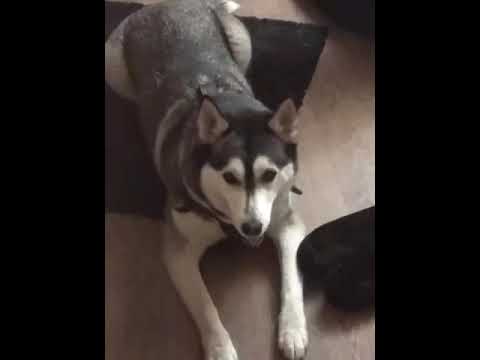 наша зайка!))🤗