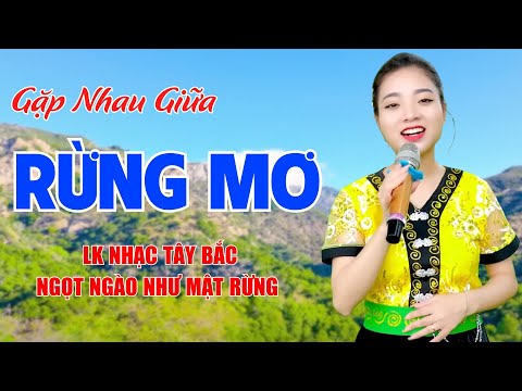 Gặp Nhau Giữa Rừng Mơ, Tình Ca Tây Bắc - LK Nhạc Tây Bắc Ngọt Ngào Như Mật Rừng - Ngọc Khánh