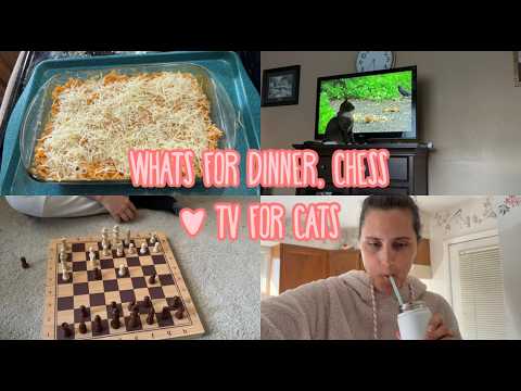 Whats for Dinner! - Chess Game - Cat TV 🙀