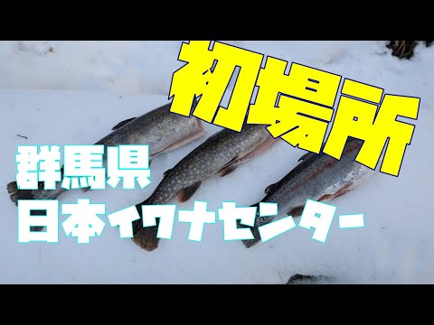 自然豊かな初釣り場！日本イワナセンター【EP.】