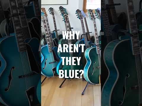 The Blue Guitar Collection - Episode 5 | ELIXIR Strings