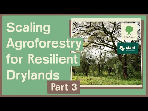 Scaling Agroforestry for Resilient Drylands: Policy Brief Launch Highlights (Part 3)
