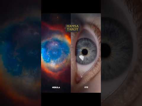 اليقين بالله... درعك في زمن الفتنة