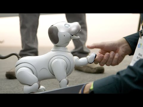 Sony's new Aibo is a very good robot dog - UCddiUEpeqJcYeBxX1IVBKvQ