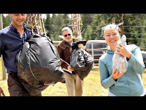 Don't Plant Fruit Trees Until You Watch This - Raintree