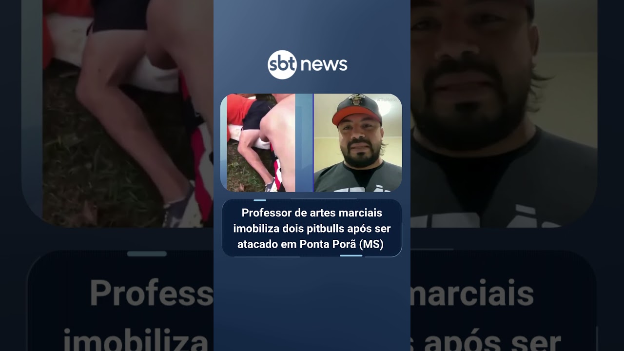 Professor de artes marciais imobiliza dois pitbulls após ser atacado em Ponta Porã (MS)