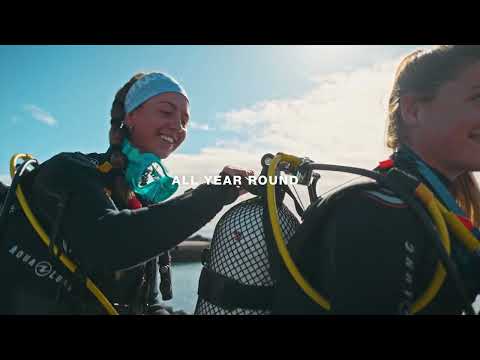 Diving in nature reserves - Canary Islands