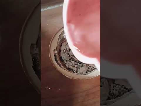 How to drain jali cover fitting #shortvideo #bathroom #plumber #subscribe