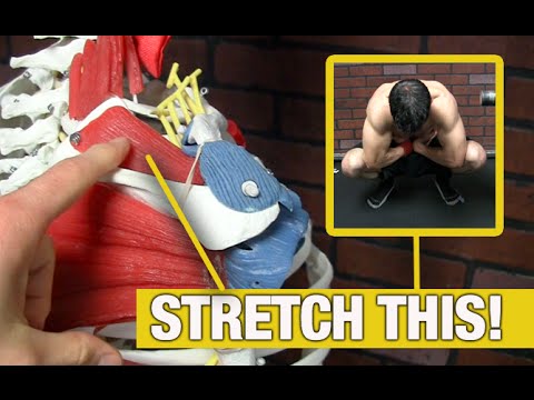 Rotator Cuff Stretches (The Ones You REALLY Need!) - UCe0TLA0EsQbE-MjuHXevj2A