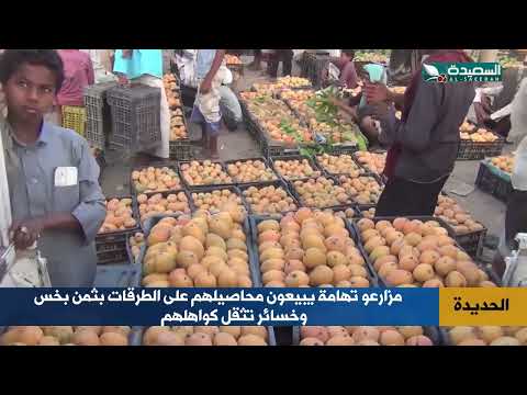 قناة السعيدة الفضائية