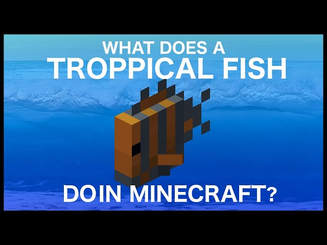 Do Fish Despawn in Minecraft?