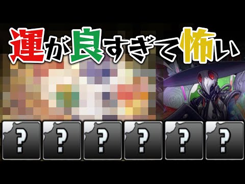 【引き強】クリスマスガチャ5回引いて出たキャラで裏異形に挑戦！【パズドラ】