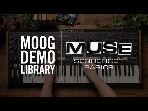 Muse | Sequencer Basics