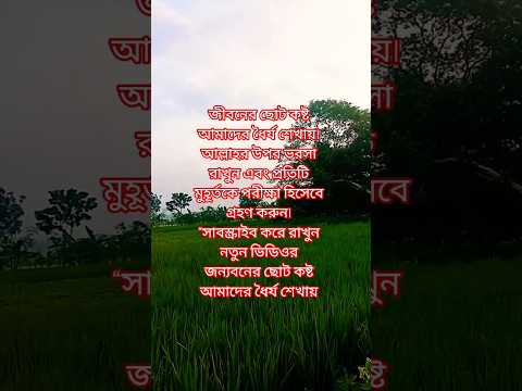 আপনি কি জানেন, জীবনের ছোট কষ্টও আপনার জন্য পরীক্ষার অংশ হতে পারে? ❓”#জীবন #ইসলামিক #ভালোবাসা