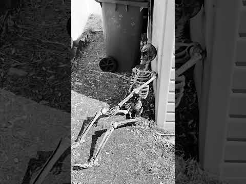 Halloween Decorations