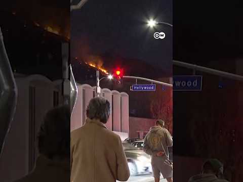 Hollywood Hills on fire | DW News