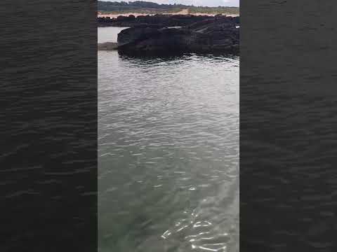 #ireland#shortvideo