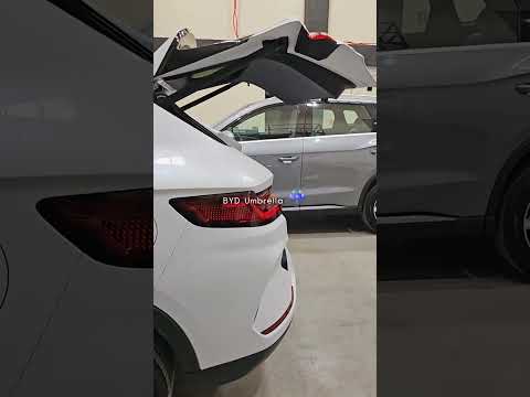 BYD Sealion 6 🚗 ALL Inclusions & Freebies You Get!