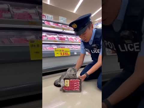 “Cat Refuses to Return Premium Beef to Japanese Police!” 🐱🥩🇯🇵