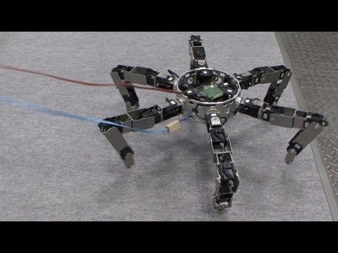 Asterisk - Omni-directional Insect Robot Picks Up Prey #DigInfo - UCOHoBDJhP2cpYAI8YKroFbA