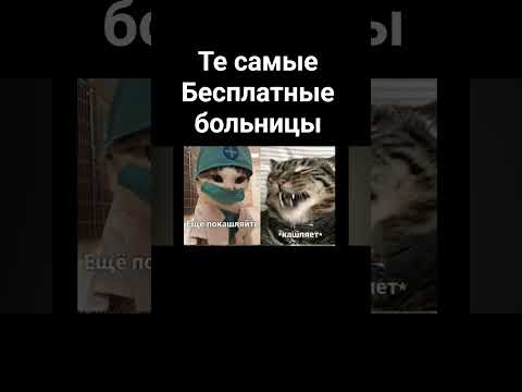 #кот#прикол#врач#врек