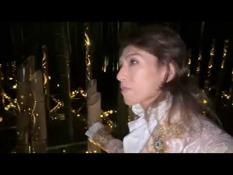 竹林）恋の曼陀羅