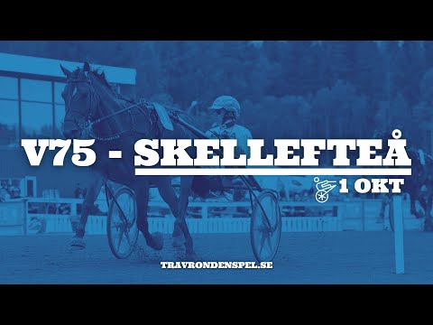 V75 tips Skellefteå | Tre S - Här är skrälloppet