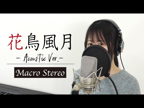 「花鳥風月（Acoustic Ver.）」マクロステレオ【ご報告もあり〼】