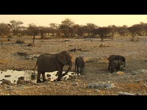 Etosha Vacation Travel Video Guide - UC3o_gaqvLoPSRVMc2GmkDrg