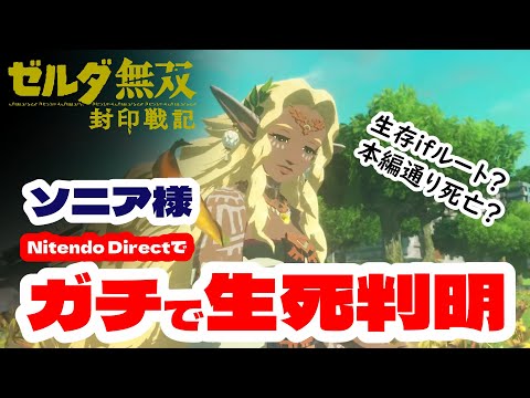 【ゼルダ無双封印戦記】をニンダイ映像からガチ考察!ソニア様の安否が判明してしまいました