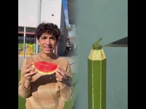 WHICH FRUIT GUMMY DO YOU WANT? #msbeanie