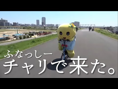 【チャッキー】ふなサイクリング #2【江戸川区サイクリングロード】