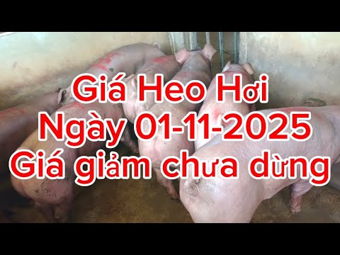 Giá giảm chưa dừng