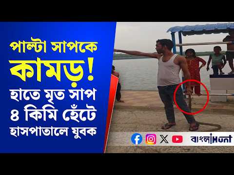 সাপের ছোবলের পর পাল্টা সাপকে কামড়! হাতে মৃত সাপ নিয়ে ৪ কিমি হেঁটে হাসপাতালে যুবক