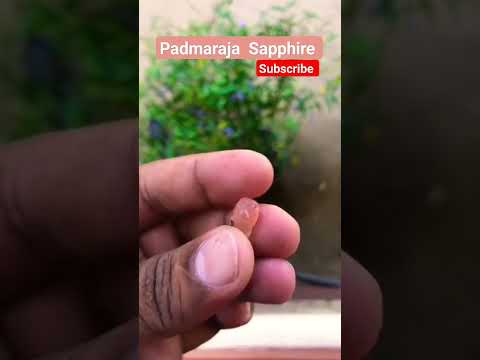 Padmaraja Sapphire #srilankangemstones #sapphire #naturalsapphire #viral #viralshorts #gem