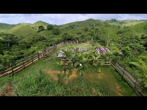 Finca Ganadera con Abundante Agua en Venta $80,000 Financiamiento Disponible