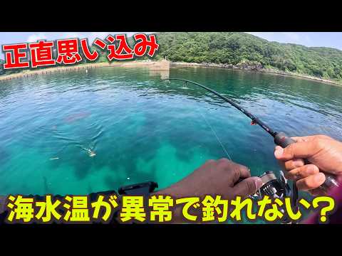 夏の海水温が異常で釣れわけないだろ！？正直普通で、今後の海はこうなります。海水温と釣果の関係性